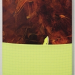 From the series 3rd Space (Place for Memories and Precious Stones), 2024, acrylic, wood, nails, fabrics.